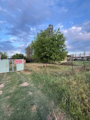 Фото 7 Участок в Правде 2 Юкори-Чирчикский район